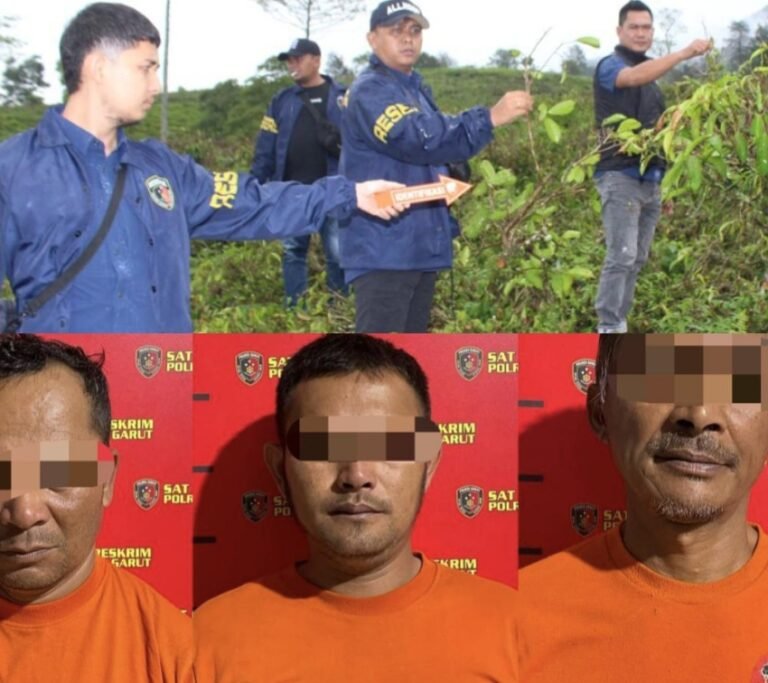 Sat Reskrim Polres Garut Amankan Tiga Pelaku Pengrusakan Kebun Teh di Cikajang