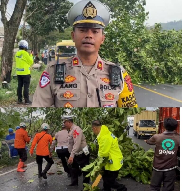 Respons Cepat Satlantas Polres Garut Tangani Pohon Tumbang di Jalur Limbangan, Arus Lalu Lintas Tetap Lancar