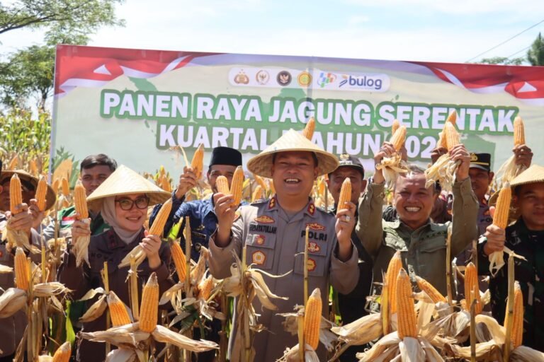 Polres Ciamis Dukung Ketahanan Pangan Nasional, Pimpin Panen Raya Jagung Serentak Kuartal I 2026 di Baregbeg