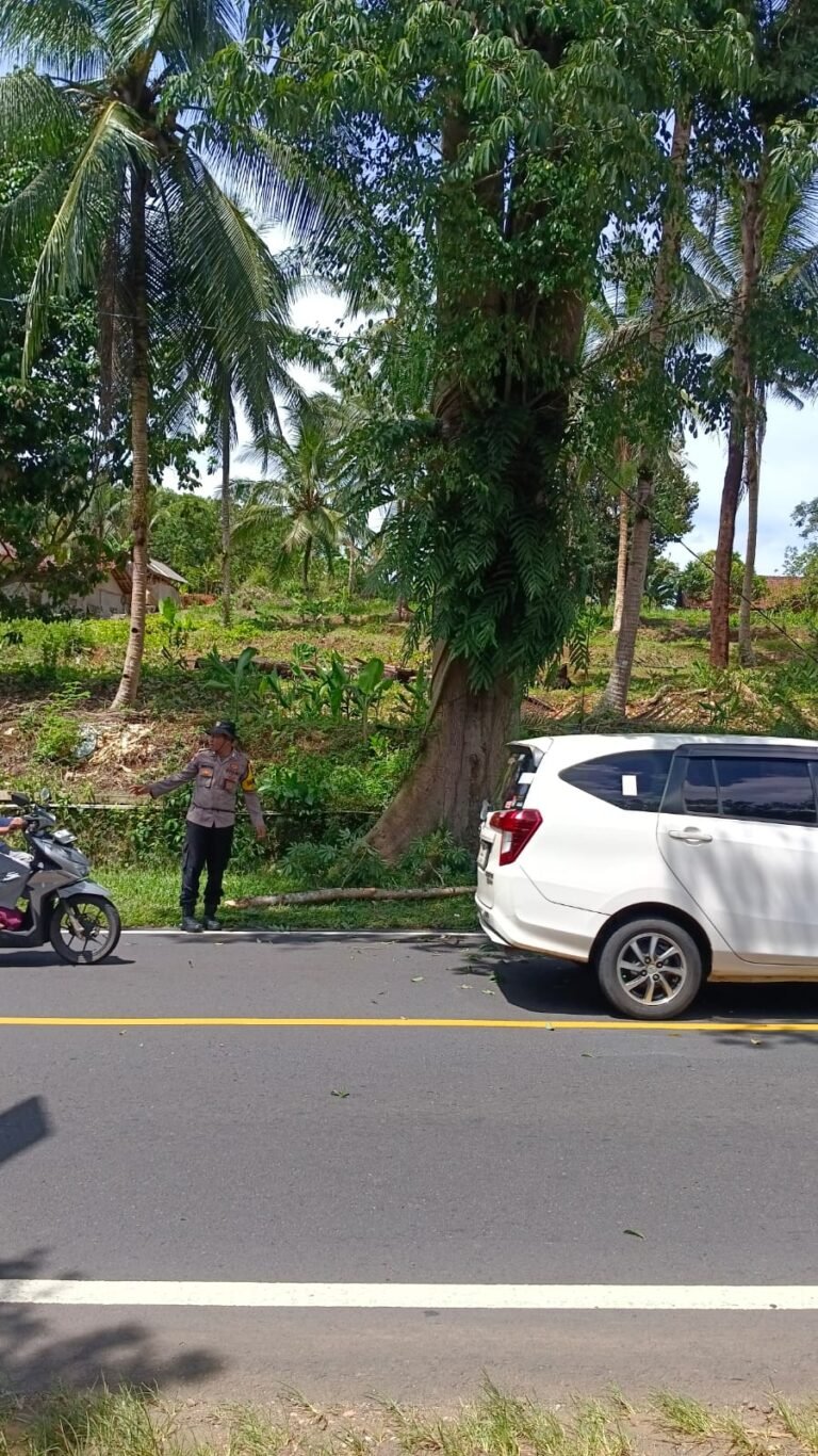 Mitigasi Bencana, Polsek Cijeungjing Bersama Warga Tebang Pohon Rawan Tumbang di Cibeka