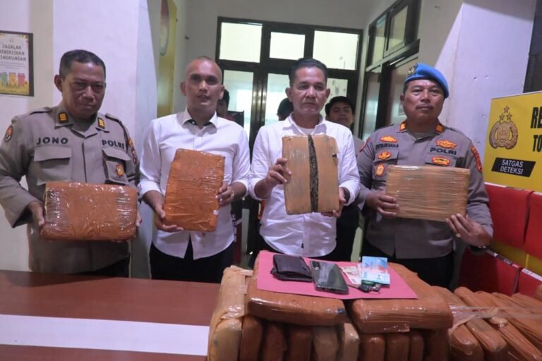 Press Release Satres Narkoba Polres Labusel Ungkap 27,869 Gram Ganja, Satu Buruh Asal Padang Ditangkap
