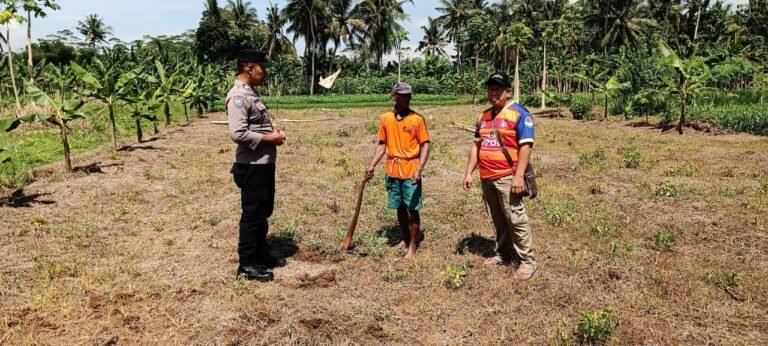 Polsek Banjarsari Dukung Program Swasembada Pangan, Polisi Turun Langsung Cek Persiapan Lahan Tanam Jagung