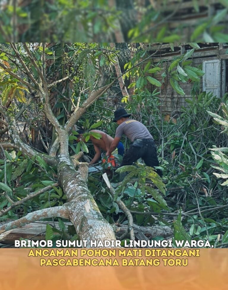 Brimob Sumut Hadir Lindungi Warga, Ancaman Pohon Mati Ditangani Pascabencana Batang Toru