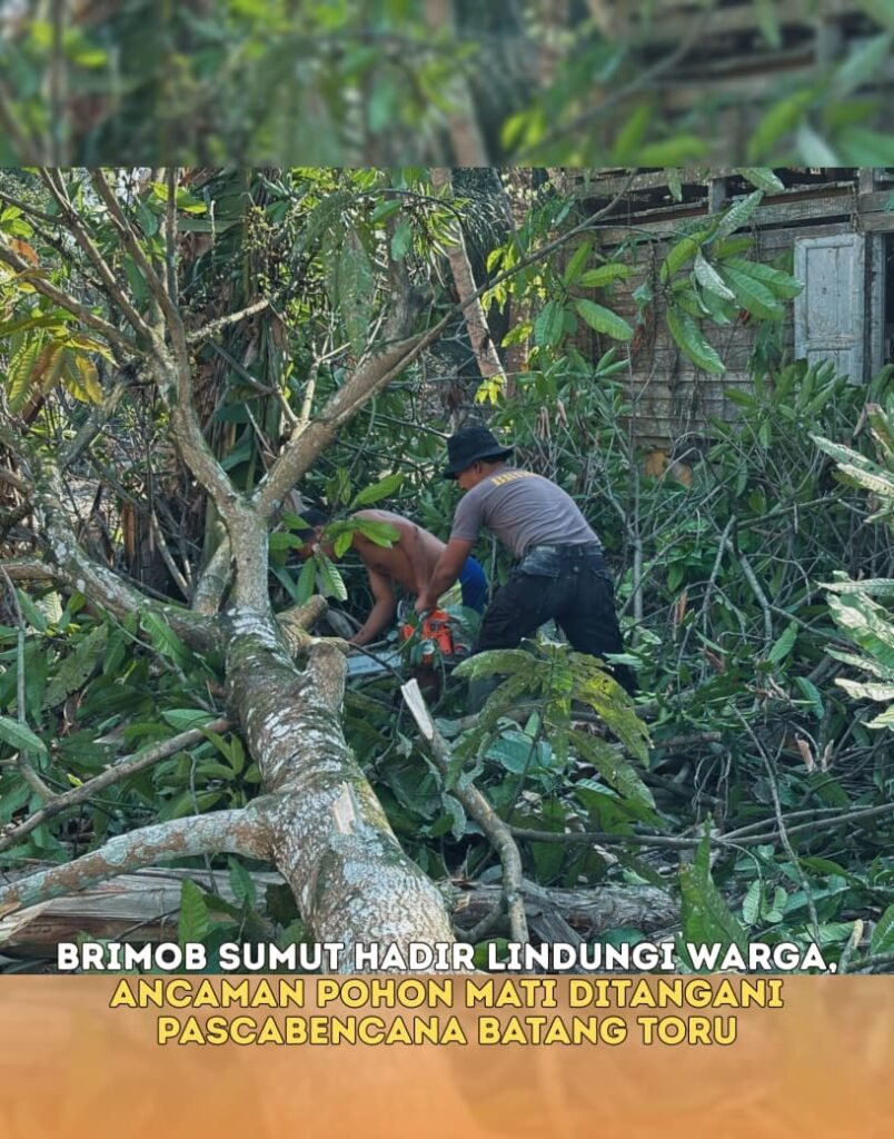Brimob Sumut Hadir Lindungi Warga, Ancaman Pohon Mati Ditangani Pascabencana Batang Toru