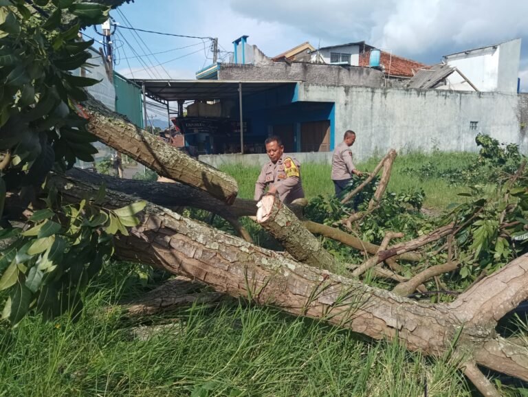 Respons Cepat Polsek Samarang Evakuasi Pohon Tumbang, Akses Jalan ke Pesantren Kembali Lancar