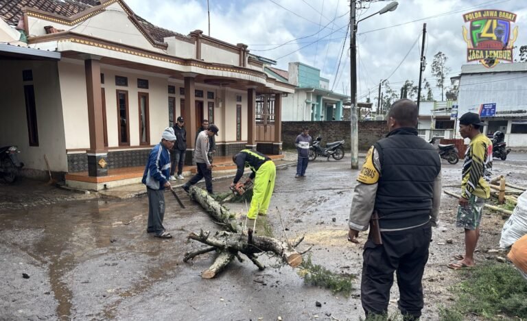 Respons Cepat Polsek Pasirwangi, Evakuasi Pohon Tumbang di Desa Padaawas