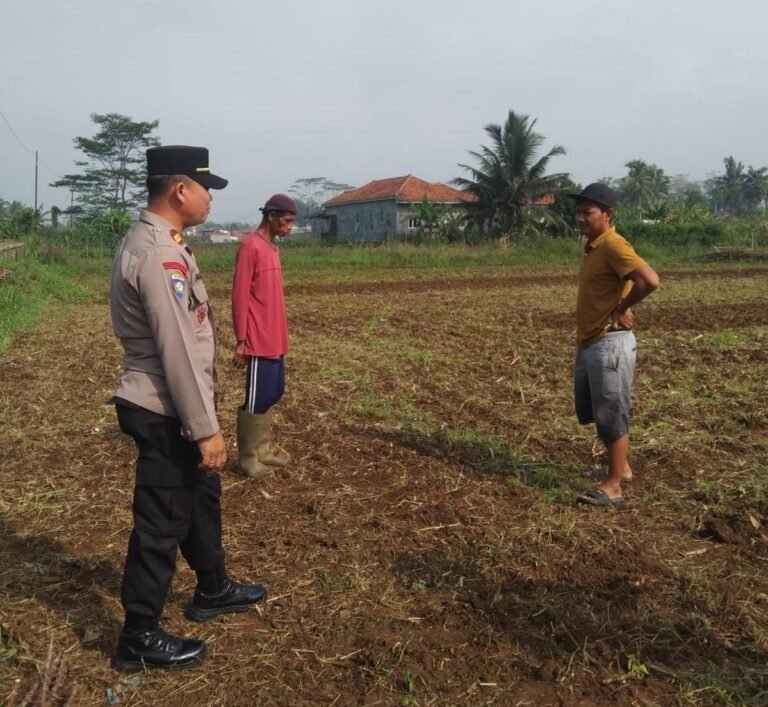 Polsek Cikoneng Lakukan Pengecekan Lahan Penanaman Jagung, Dukung Program Swasembada Pangan Nasional