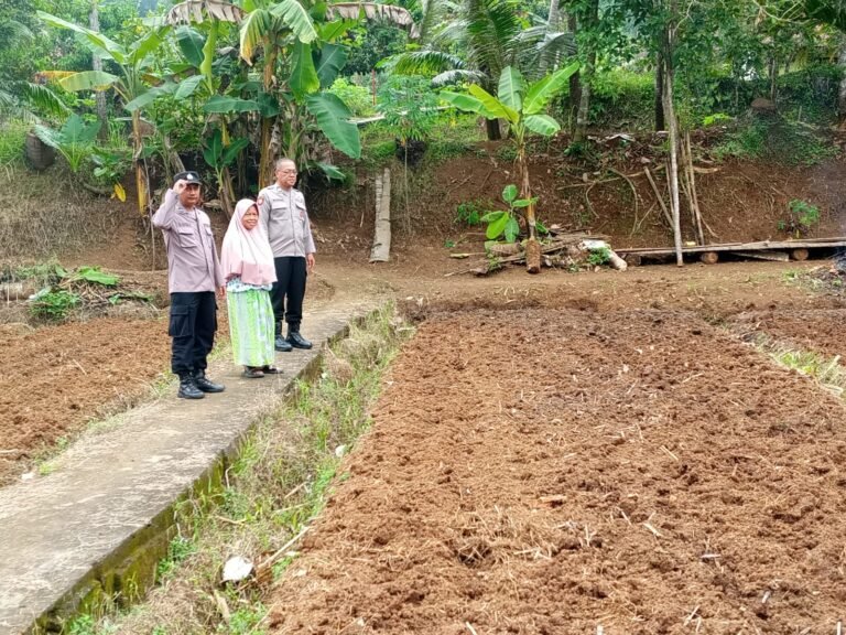 Dukung Hanpangan, Kapolsek Cisaga Cek Lahan Pertanian Persiapan Tanam Jagung di Desa Kepel