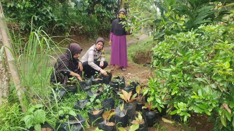 Ketahanan Pangan, Polsek Ciamis Polres Ciamis Ajak Warga Manfaatkan Lahan Rumah Produktif