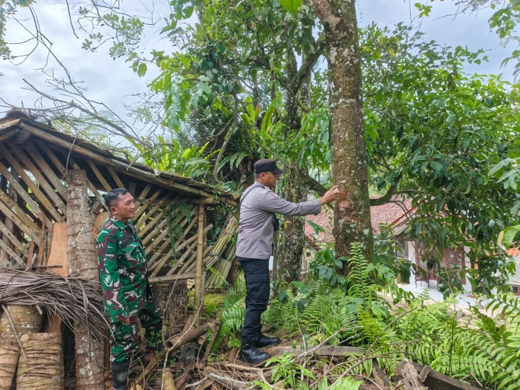 Polsek Kawali Bersama Tiga Pilar Lakukan Penandaan Pohon Rawan Demi Keselamatan Warga Desa Lumbung