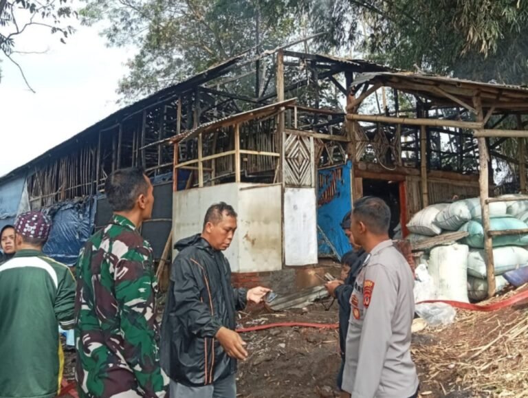 Diduga Korsleting Listrik, Kandang Ayam di Samarang Ludes Di Lalap Si Jago Merah, Polisi Lakukan Cek TKP
