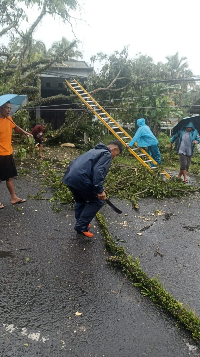Hujan Deras dan Angin Kencang, Pohon Tumbang Putuskan Jaringan PLN di Padakembang Tasikmalaya
