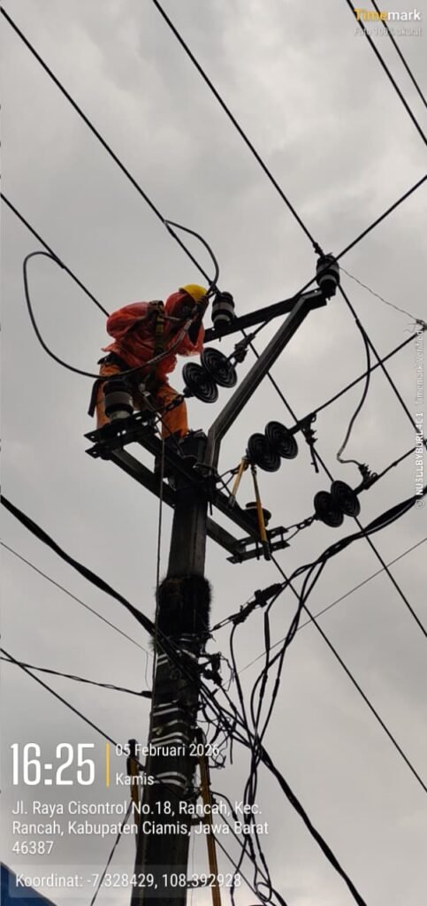 Hujan Deras dan Angin Kencang, Pohon Tumbang Ganggu Jaringan Listrik di Cijeungjing