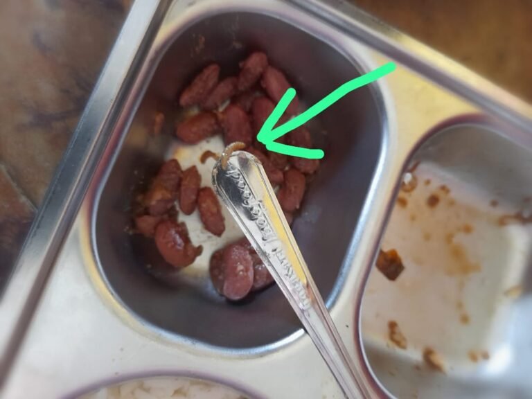 Program Makanan Bergizi Gratis, Ternyata Ada Belatung Di Menu MBG Di Sekolah Dasar 03 Wilayah Salawu