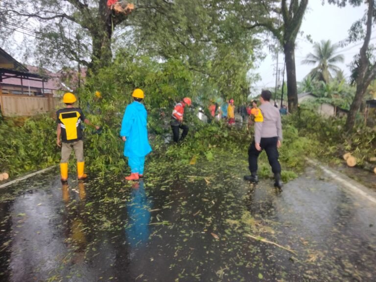Polsek Cijeungjing Datangi TKP Puhon Tumbang Tutupi Badan Jalan Nasional Kabupaten Ciamis