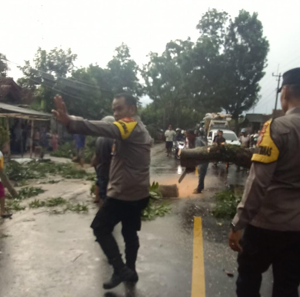 Kesiapsiagaan Bencana, Polsek Banjarsari Polres Ciamis Bantu Evakuasi Korban Pohon Tumbang