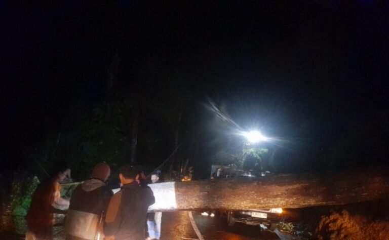 Polsek Cisompet Evakuasi Pohon Tumbang yang Sempat Tutup Akses Jalan