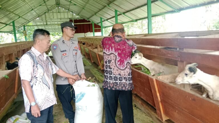 Ketahanan Pangan, Polsek Ciamis Koorkom Bareng BUMDes Bhinekas Desa Cisadap