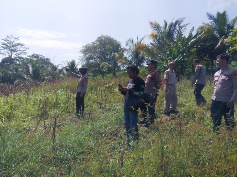 Dukung Hanpangan, Kapolsek Cimaragas Cek Lahan Persiapan Tanam Jagung Poktan PCPM