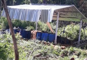 Diduga Program UPPO di Desa Karduluk Picu Perhatian Publik