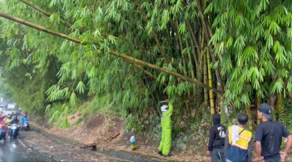 Polsek Kadungora Sigap Tangani Pohon Tumbang Akibat Cuaca Ekstrem