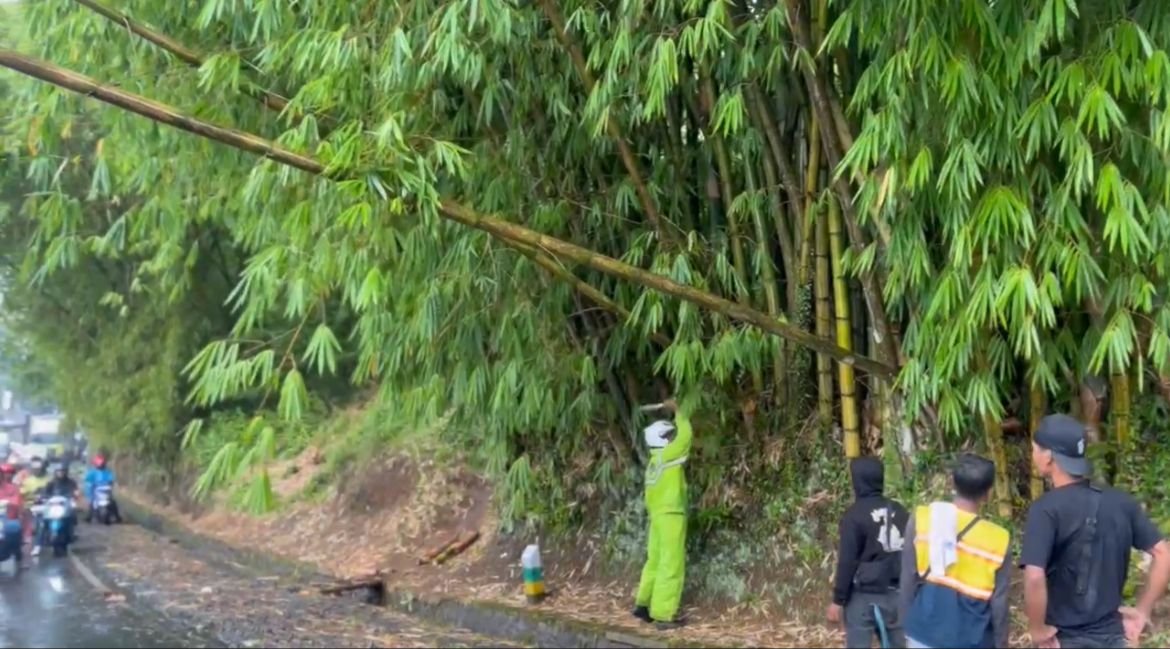 Polsek Kadungora Sigap Tangani Pohon Tumbang Akibat Cuaca Ekstrem