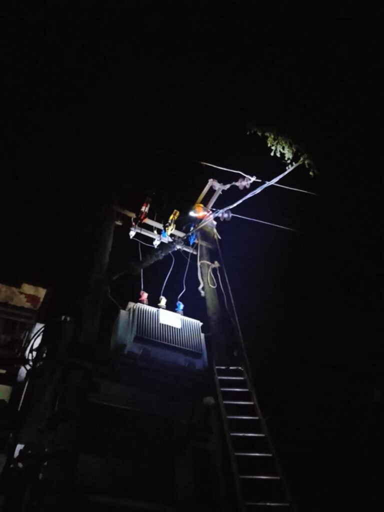 Pohon Tumbang Ganggu Jaringan Listrik, PLN Tasikmalaya Kota Kerahkan 50 Personel