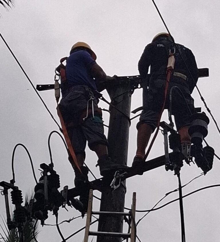 Pohon Alba Roboh Timpa Jaringan Listrik, Sejumlah Wilayah di Langkaplancar Pangandaran Terdampak
