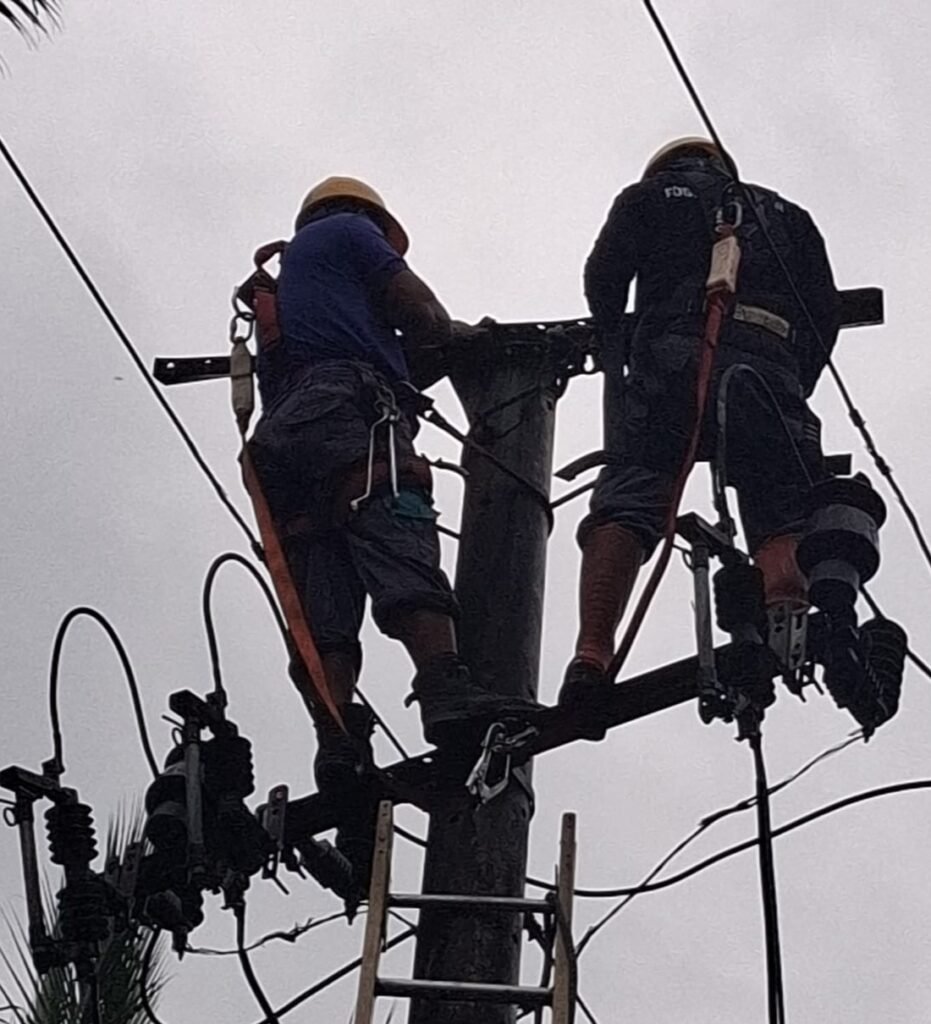 Pohon Alba Roboh Timpa Jaringan Listrik, Sejumlah Wilayah di Langkaplancar Pangandaran Terdampak