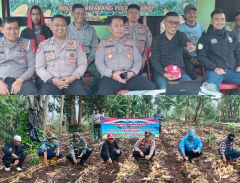 Polsek Samarang Lakukan Penanaman Jagung Serentak Kuartal 1 Tahun 2026 Tingkat Kec Samarang