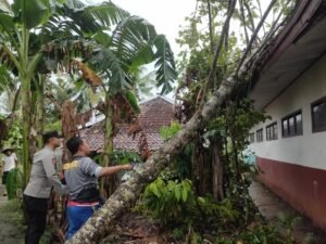 Polsek Pamarican Gerak Cepat Tangani Pohon Tumbang, Wujud Respons Cepat Kepolisian Bantu Warga Terdampak