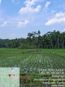 Cuaca Ekstrem, 14 Tiang Listrik Roboh di Pangandaran, PLN Percepat Pemulihan