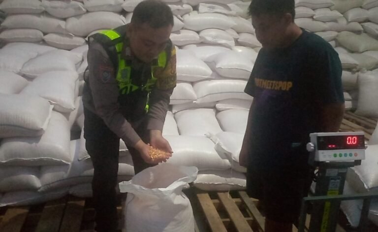 Sinergi Polri dan Petani, 5 Ton Jagung Garut Siap Perkuat Stok Pangan Nasional