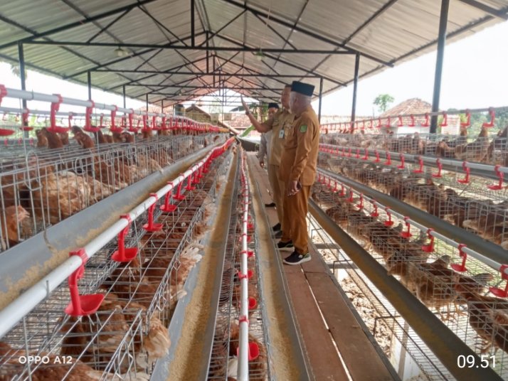 KINERJA DPMD KABUPATEN SUMENEP DALAM PENGELOLAAN DAN PENGEMBANGAN BUMDESA