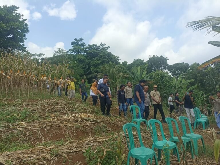 Gandeng Pemuda Muhammdiyah, Polres Ciamis Tanam Jagung Wujudkan Ciamis Swasembada Pangan
