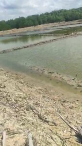 Dugaan Pengrusakan Hutan Mangrove untuk Lahan Tambak Garam Demi Keuntungan Pribadi