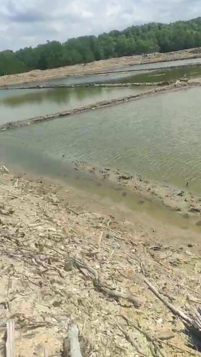Dugaan Pengrusakan Hutan Mangrove untuk Lahan Tambak Garam Demi Keuntungan Pribadi