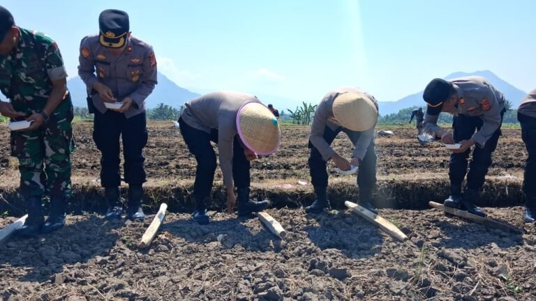 Kapolres Garut Pimpin Penanaman Jagung di Leles, Wujud Nyata Dukung Swasembada Pangan 2026