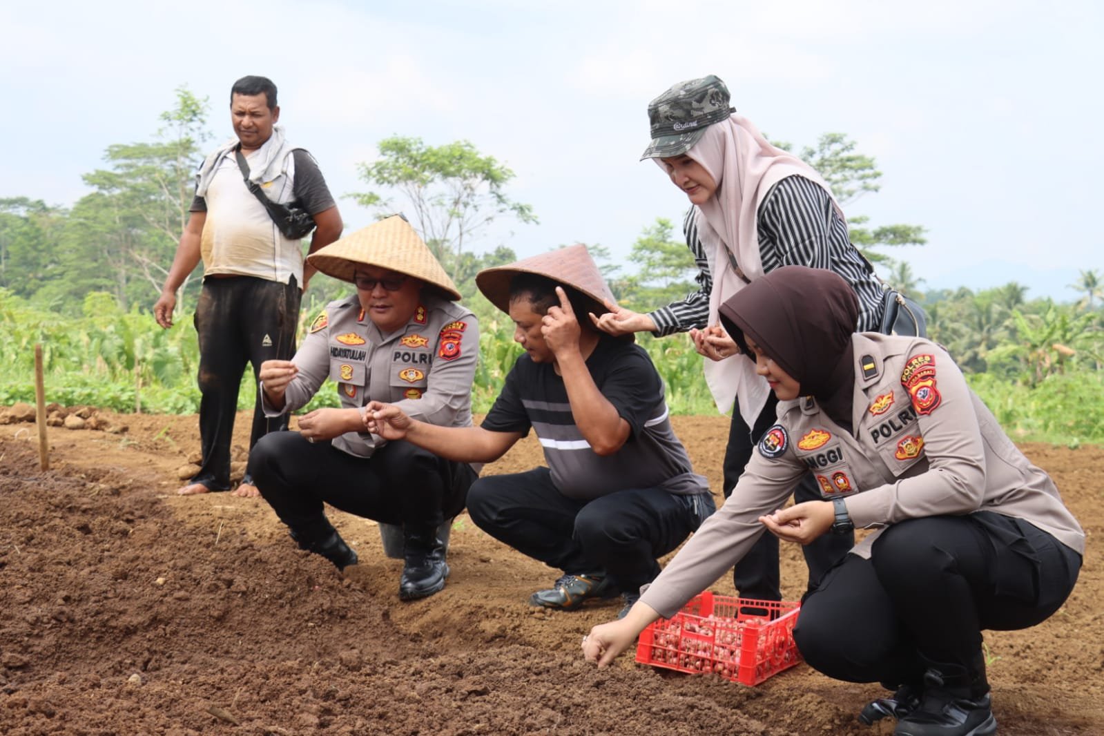 Kapolres Ciamis Dukung Swasembada Pangan Lewat Program Pertanian Tumpang Sari Di Lahan Tadah Hujan