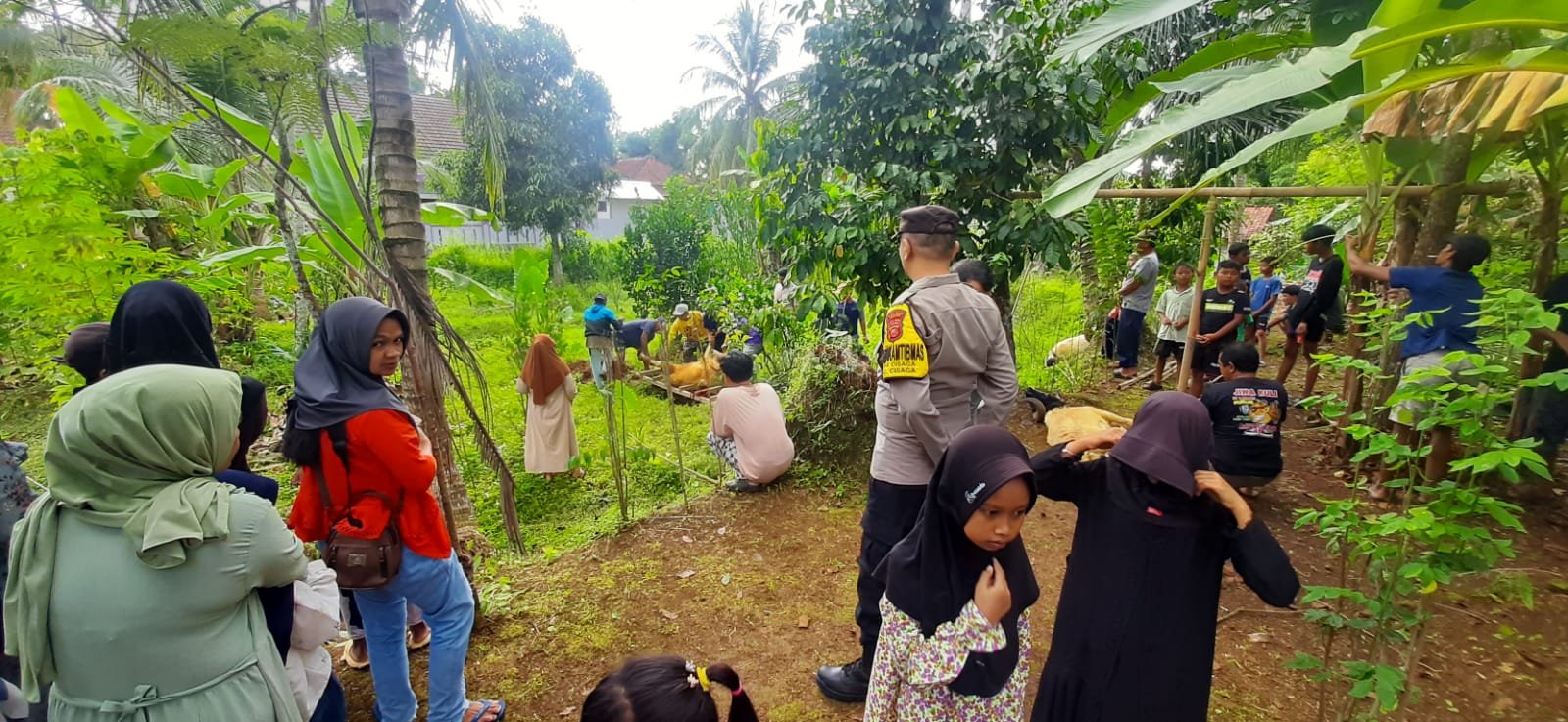 Idul Adha 1447 H, Polsek Cisaga Turun Ke Lapangan Pantau Proses Kurban di Masyarakat
