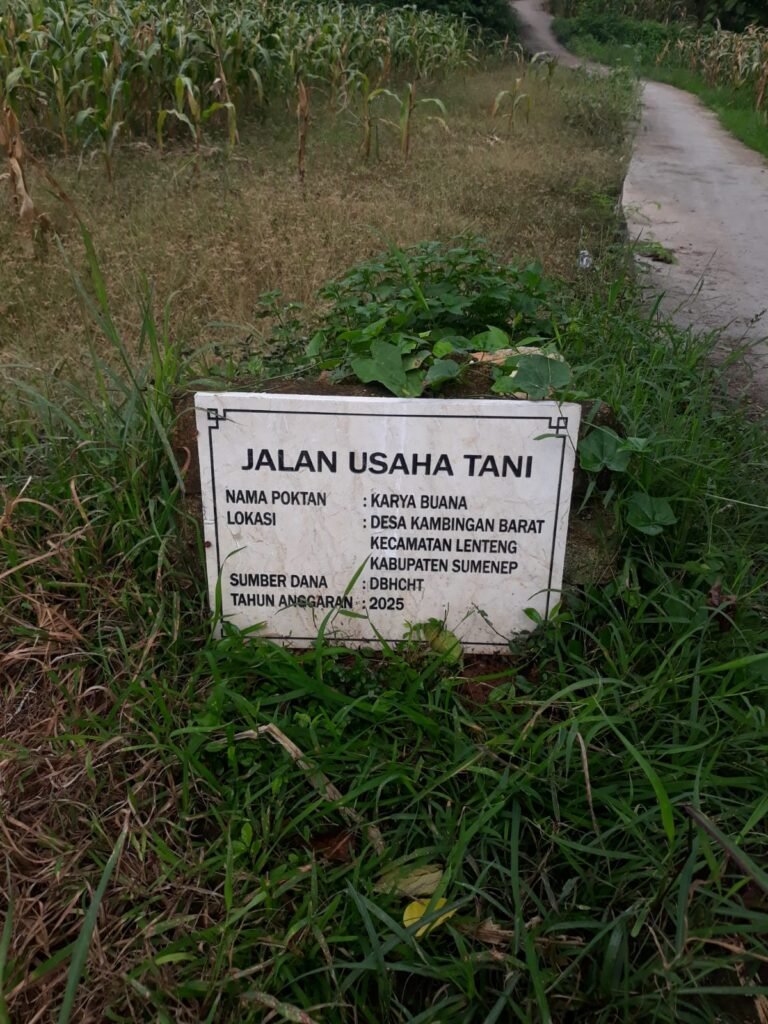 Jalan Usaha Tani Tahun 2025 dari Dana DBHCHT Diduga Dikerjakan Asal Jadi