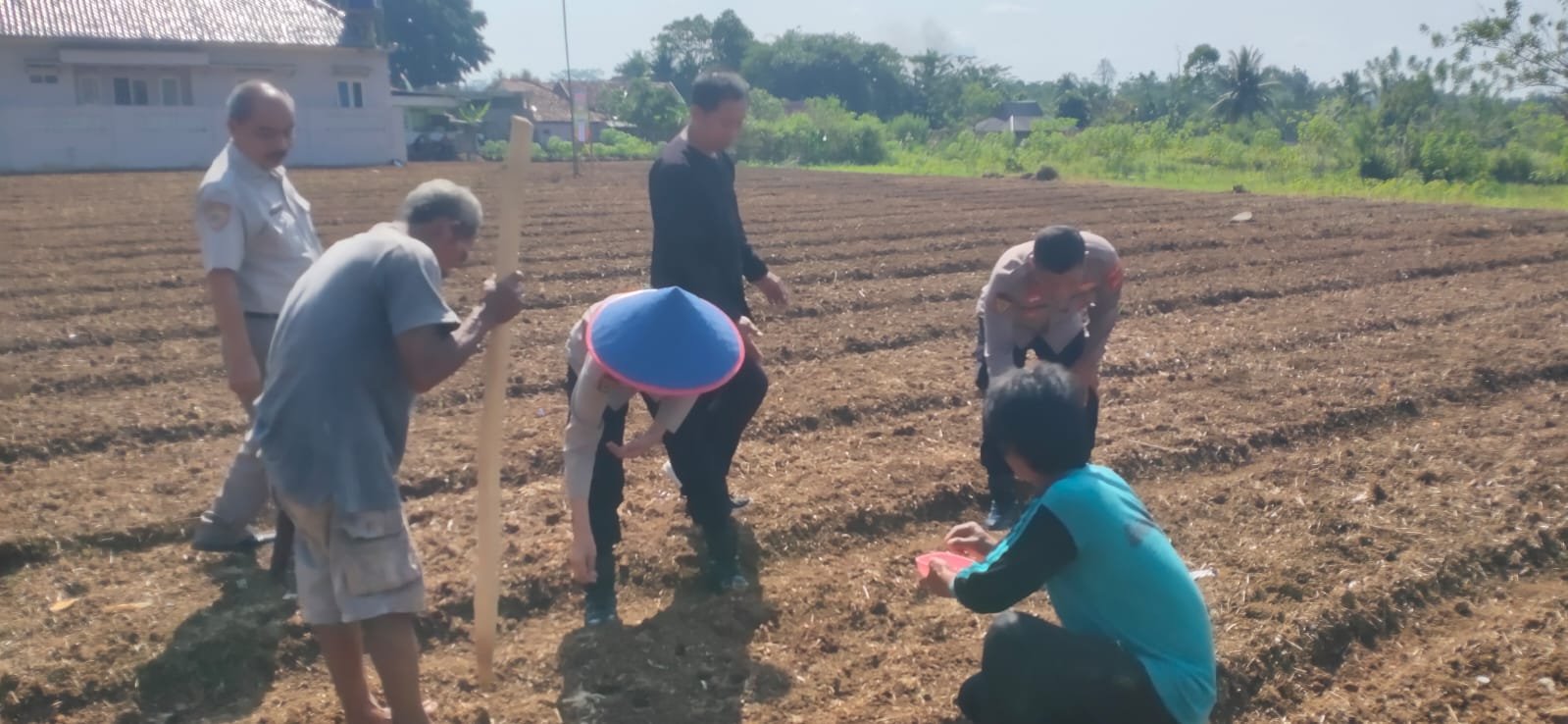 Polres Ciamis Dukung Swasembada Pangan Nasional Melalui Penanaman Jagung Bersama Kelompok Tani