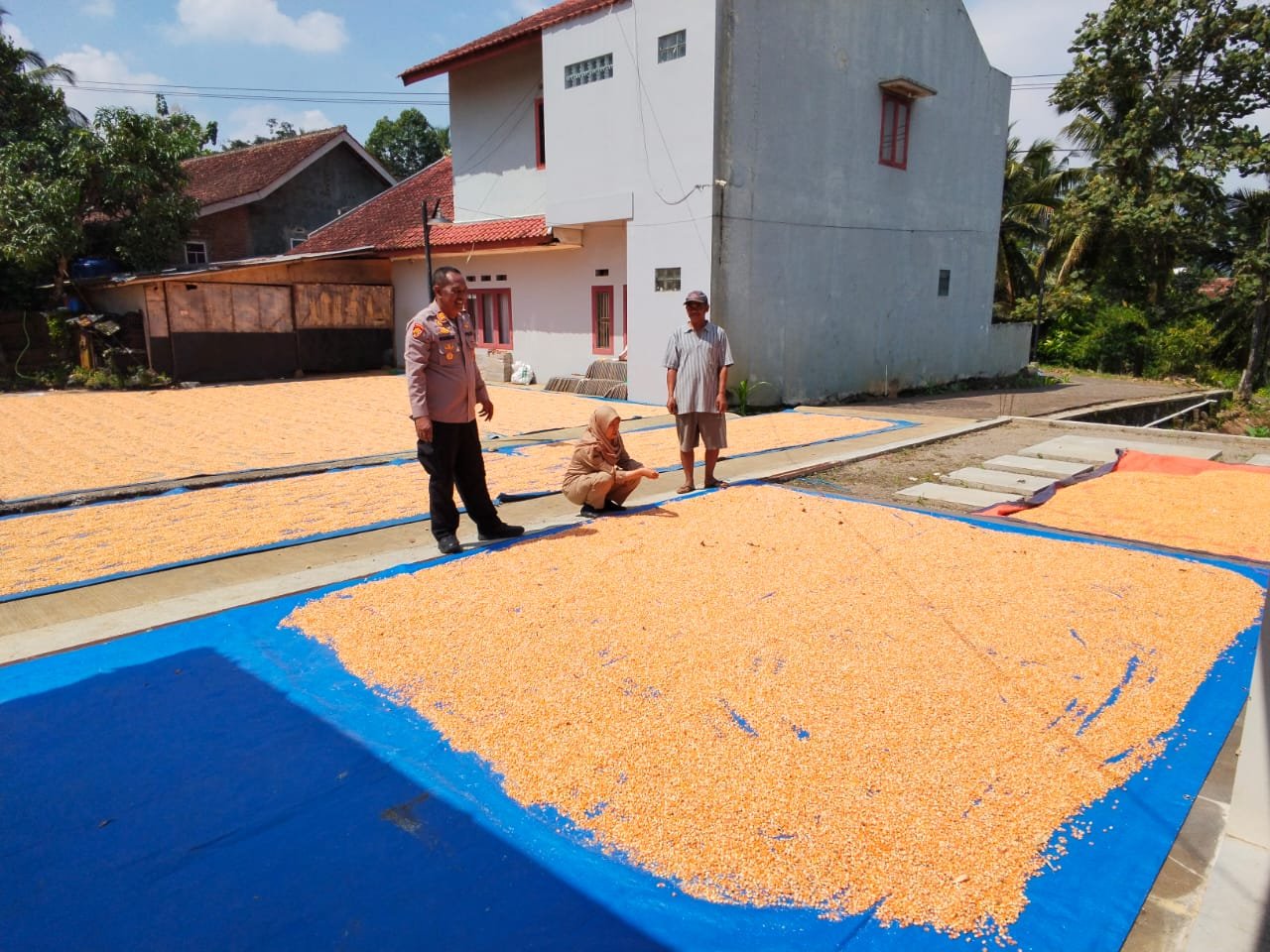Dalam Rangka Perkuat Ketahanan Pangan Polri, BPP, Bulog dan Petani Bersatu Wujudkan Swasembada Jagung, AKP Budiman Suhardiana: Ketahanan Pangan Adalah Ketahanan Bangsa