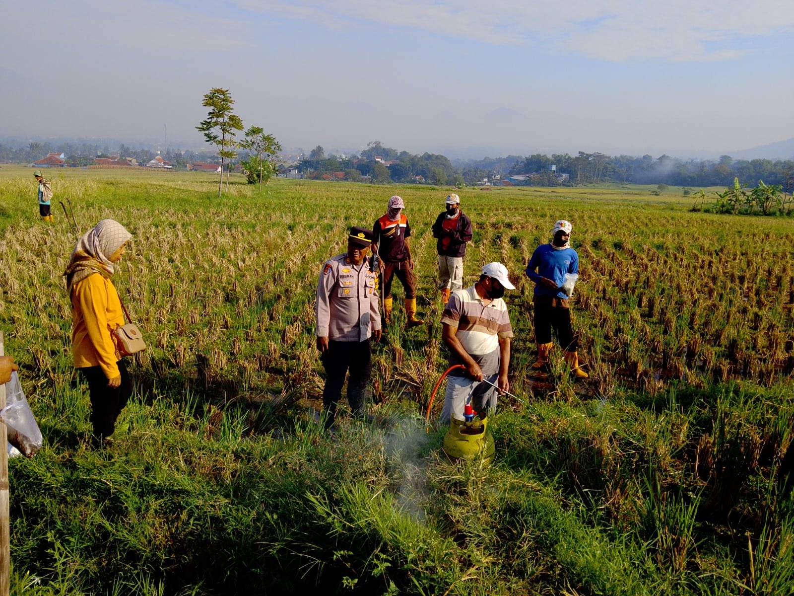 Polsek Sukawening Sinergi Petani dan Pemerintah Desa Gelar Gerakan Pengendalian Hama Tikus Demi Selamatkan Lahan Pertanian